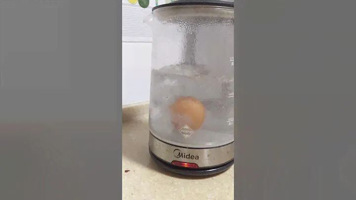 Boil an egg 🥚 with electric kettle