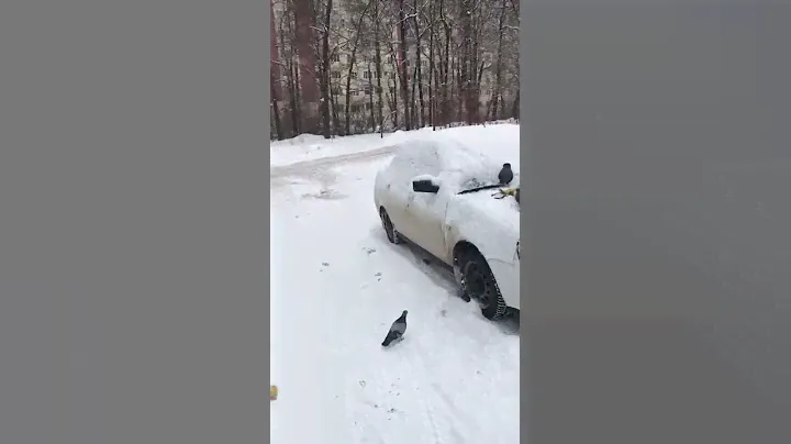 Месть автохаму