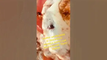 Doppio hamburger di tacchino e provola cotto con Multicooker Twist Ariete