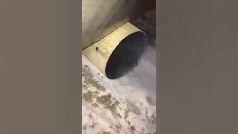 Прострелы в выхлопе