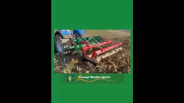 Ripuntatore Ariete 7 R Cormagri macchine Agricole